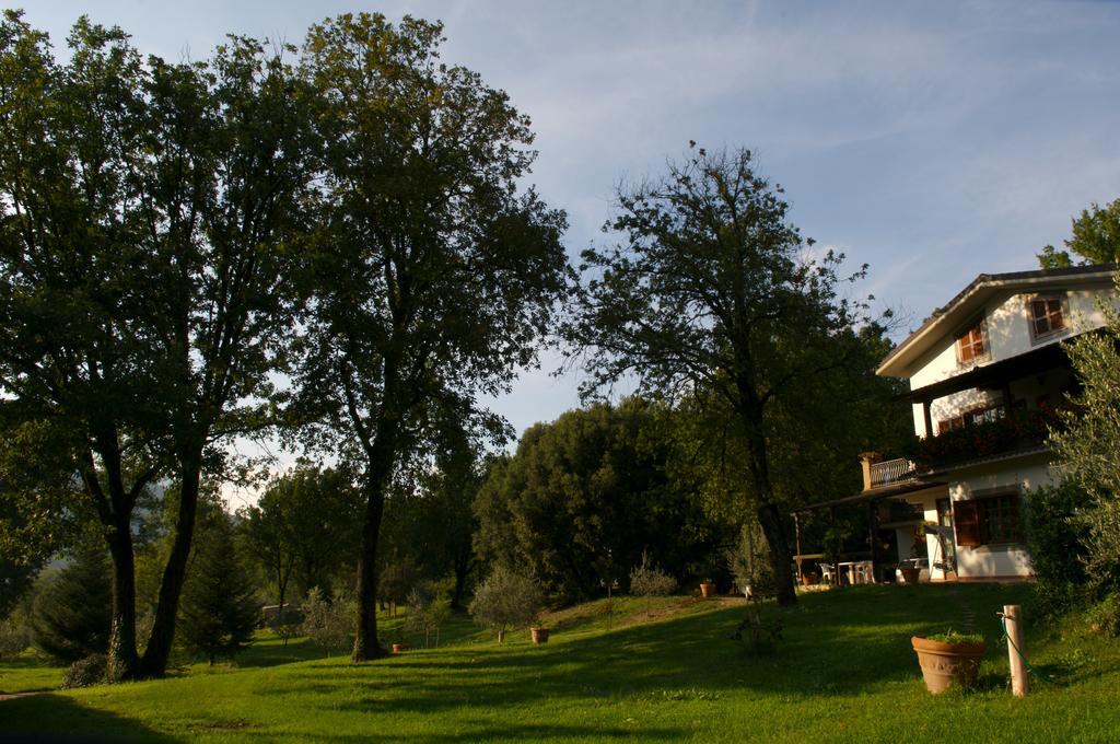 Montelanico La Colonna B&B 외부 사진