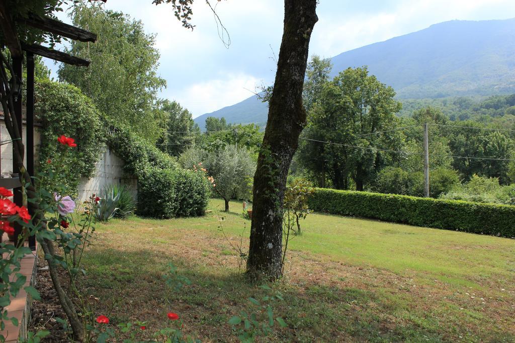 Montelanico La Colonna B&B 외부 사진